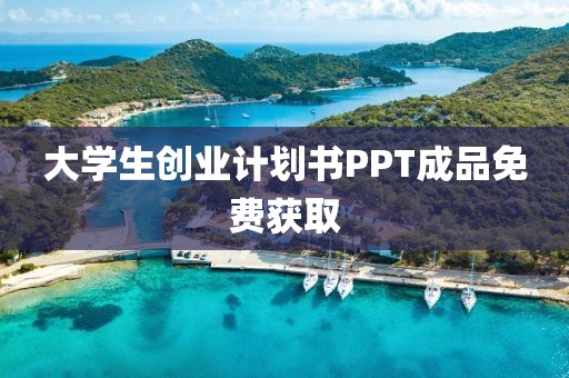 大学生创业计划书PPT成品免费获取