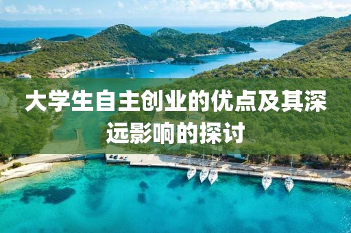 大学生自主创业的优点及其深远影响的探讨