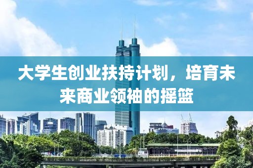 大学生创业扶持计划，培育未来商业领袖的摇篮