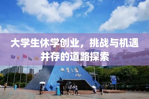 大学生休学创业，挑战与机遇并存的道路探索