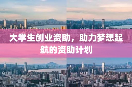 大学生创业资助，助力梦想起航的资助计划