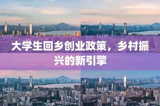 大学生回乡创业政策，乡村振兴的新引擎