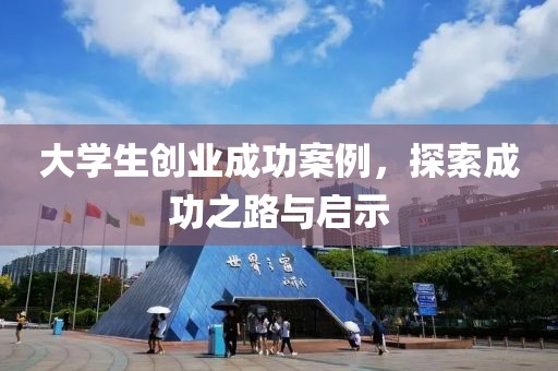 大学生创业成功案例，探索成功之路与启示