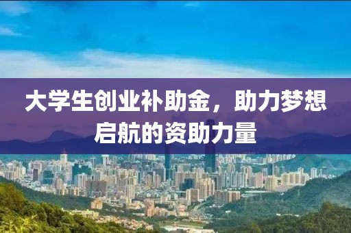 大学生创业补助金，助力梦想启航的资助力量