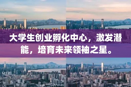 大学生创业孵化中心，激发潜能，培育未来领袖之星。