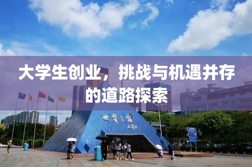 大学生创业，挑战与机遇并存的道路探索