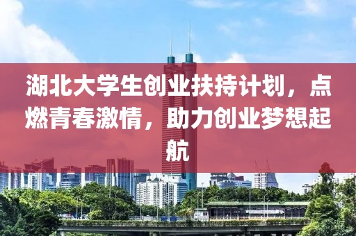 湖北大学生创业扶持计划，点燃青春激情，助力创业梦想起航