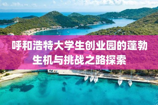 呼和浩特大学生创业园的蓬勃生机与挑战之路探索