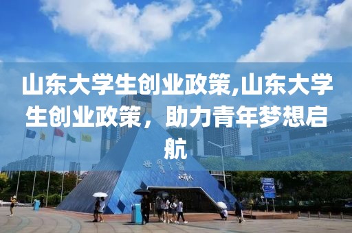 山东大学生创业政策,山东大学生创业政策，助力青年梦想启航