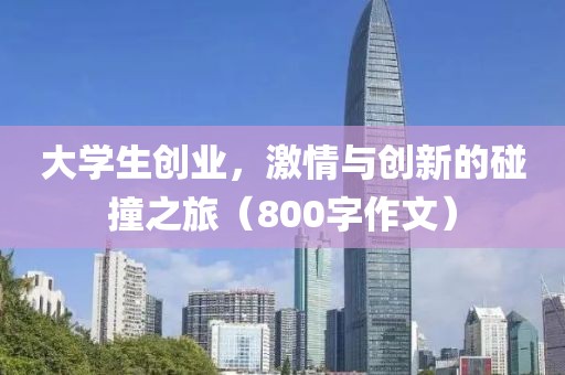 大学生创业，激情与创新的碰撞之旅（800字作文）