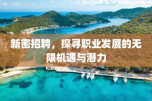 新密招聘，探寻职业发展的无限机遇与潜力