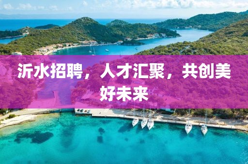 沂水招聘，人才汇聚，共创美好未来