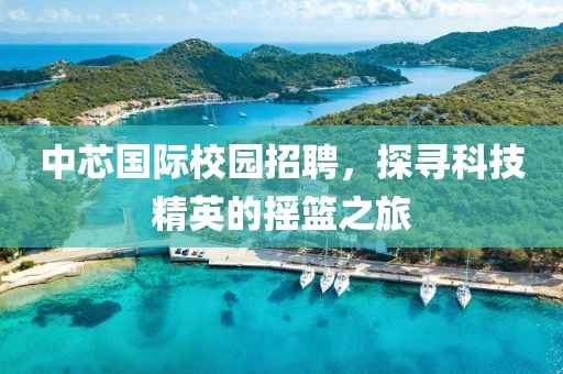 中芯国际校园招聘，探寻科技精英的摇篮之旅