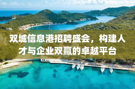 双城信息港招聘盛会，构建人才与企业双赢的卓越平台