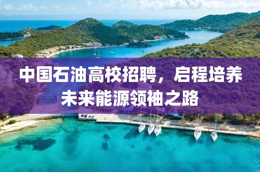 中国石油高校招聘，启程培养未来能源领袖之路