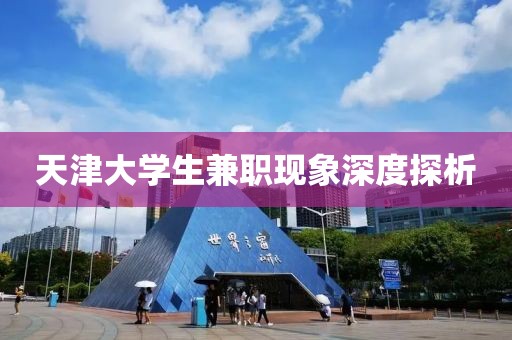 天津大学生兼职现象深度探析