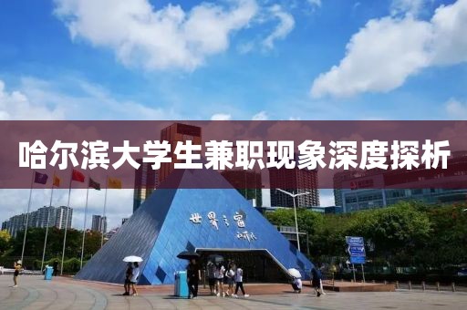 哈尔滨大学生兼职现象深度探析