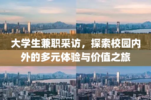 大学生兼职采访，探索校园内外的多元体验与价值之旅